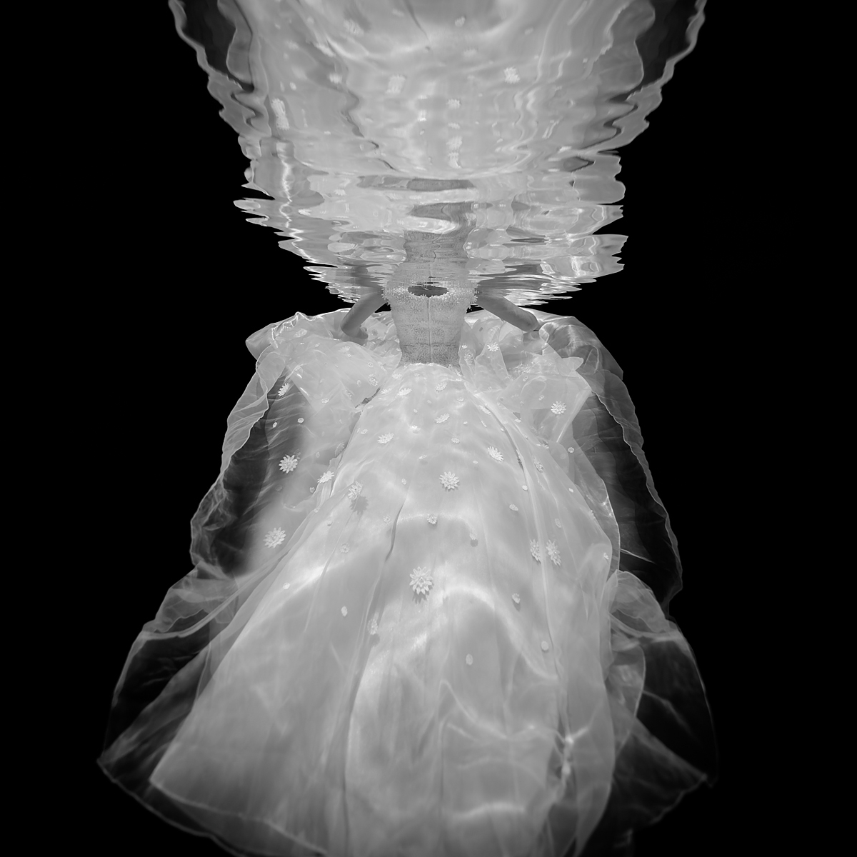 Underwater floaty chiffon fabric wedding gown, long train, bride walking away, water reflections, trash the dress shoot, black background.