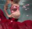 Pregnant Belly Underwater With Bubbles On Skin And Floating Flower Petals And Red Fabric And Henna Tattoo On Hand